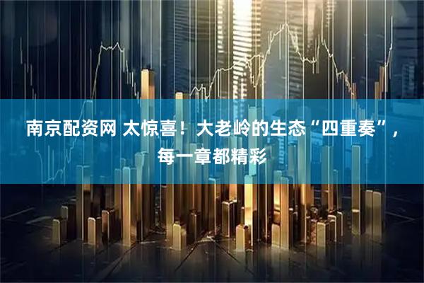 南京配资网 太惊喜！大老岭的生态“四重奏”，每一章都精彩