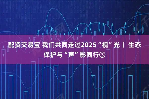 配资交易宝 我们共同走过2025“视”光丨 生态保护与“声”影同行③