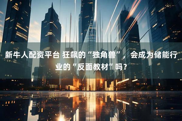 新牛人配资平台 狂飙的“独角兽”，会成为储能行业的“反面教材”吗？