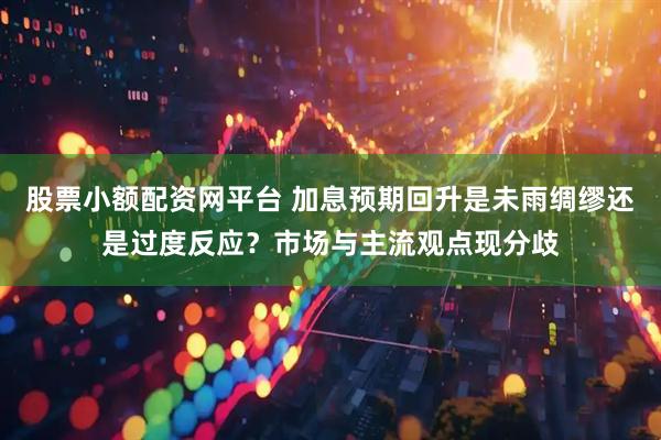 股票小额配资网平台 加息预期回升是未雨绸缪还是过度反应？市场与主流观点现分歧
